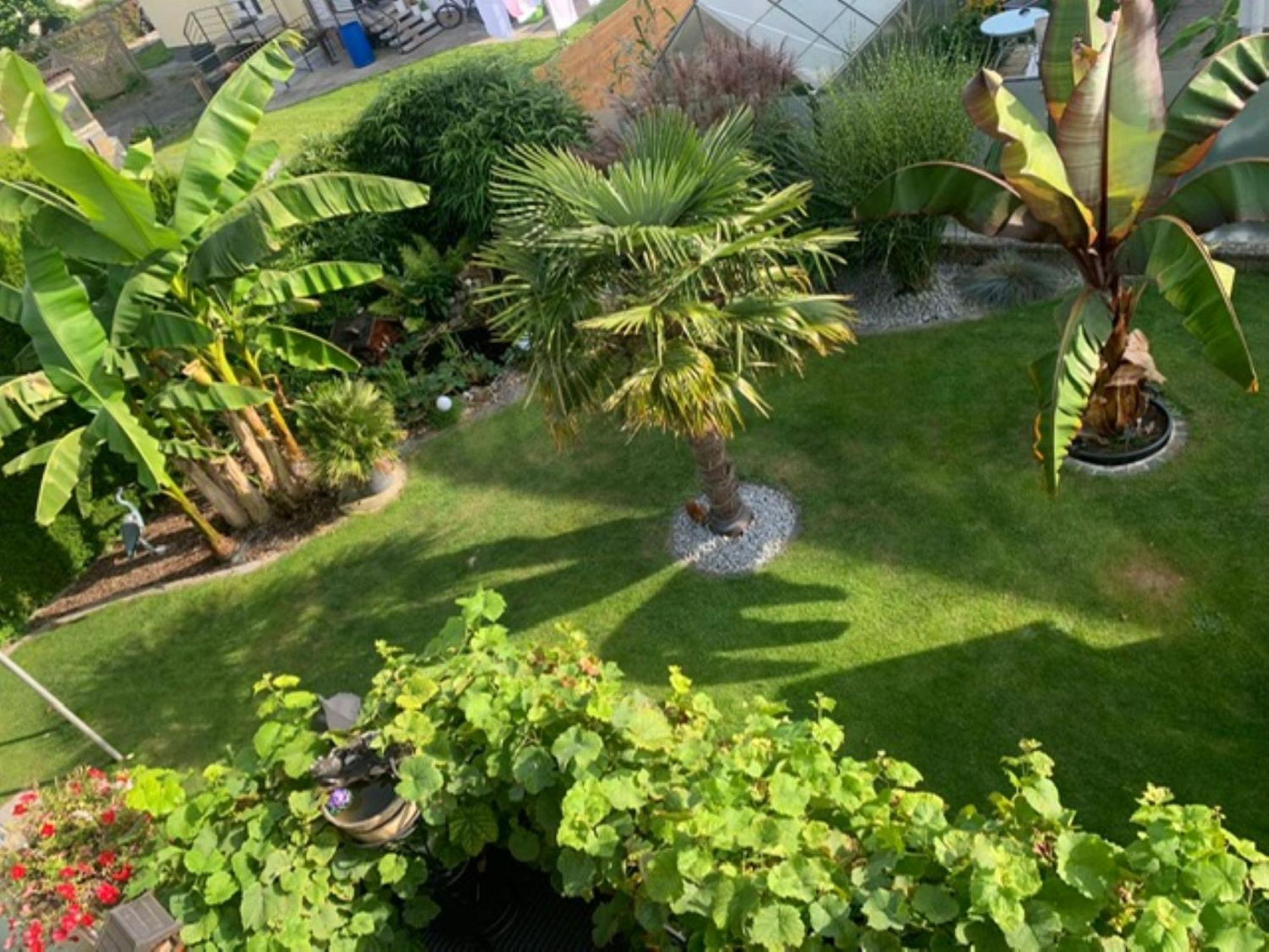 Comfort Apartment Buchhorn ฟรีดริชส์ฮาเฟน ภายนอก รูปภาพ
